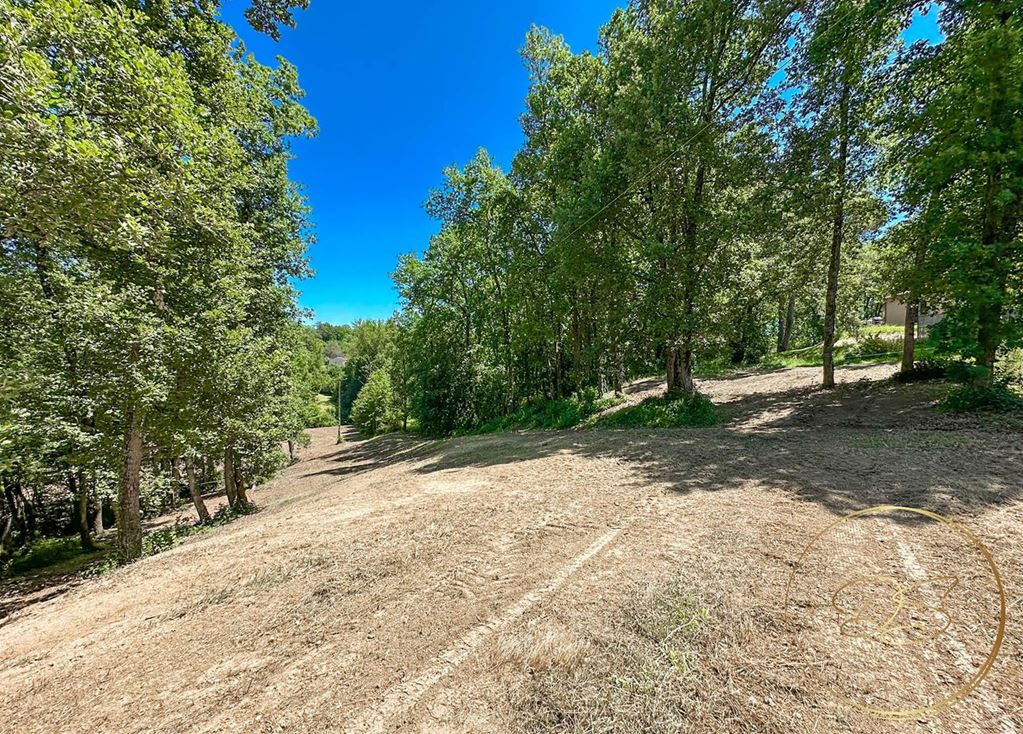 image du bien immobilier Terrain LEVIGNAC