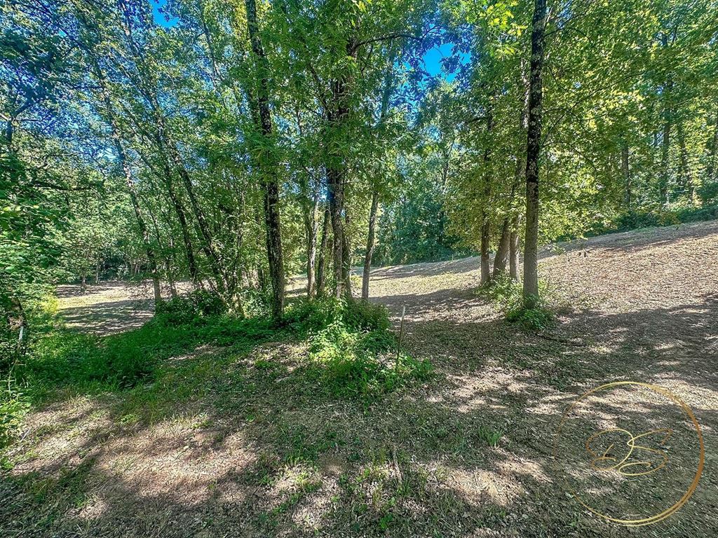 image du bien immobilier Terrain LEVIGNAC