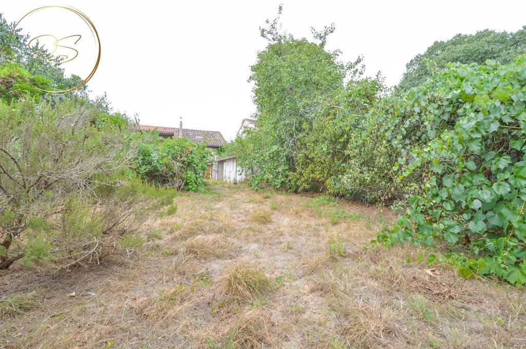 image du bien immobilier Maison de village PIBRAC